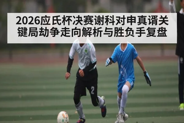 2026应氏杯决赛谢科对申真谞关键局劫争走向解析与胜负手复盘